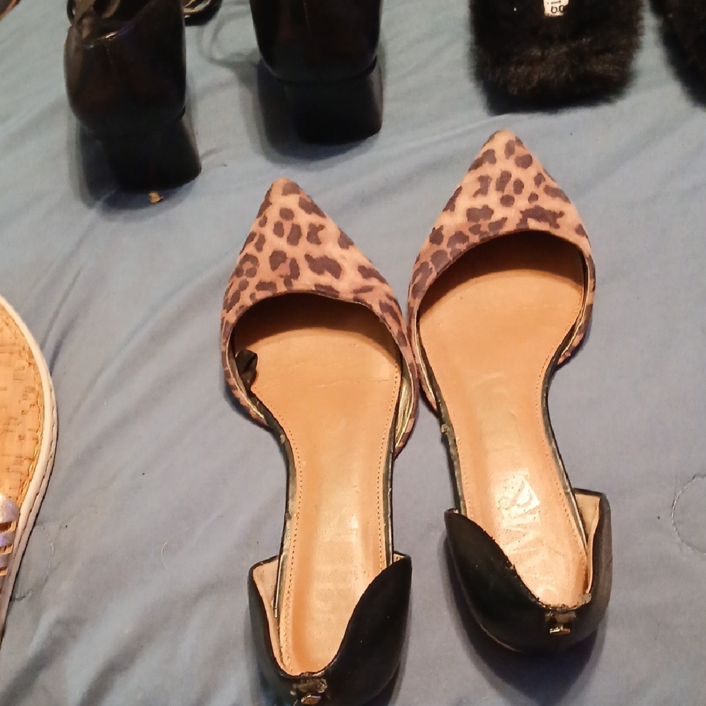Sam & Libby Brown and Black Flats with Pointed Toe